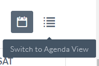 agenda view.png